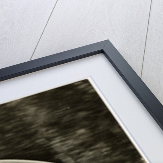 Liberati (?), TT (Tourist Trophy) rider riding as number 6 by T.M. Badger