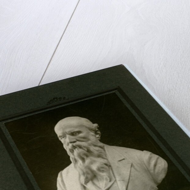 Bust of Daniel Kelly - schoolmaster by George Bellett Cowen