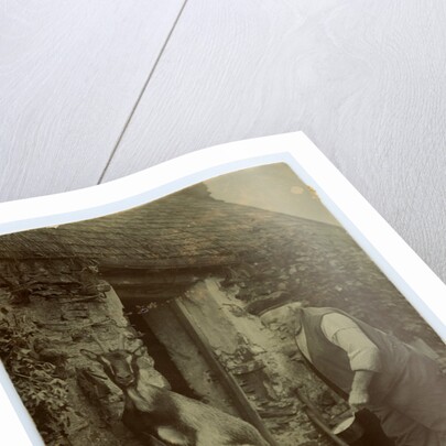 John Kinnish ('Old Pete') outside his cottage - with goat by Thomas Horsfell Midwood