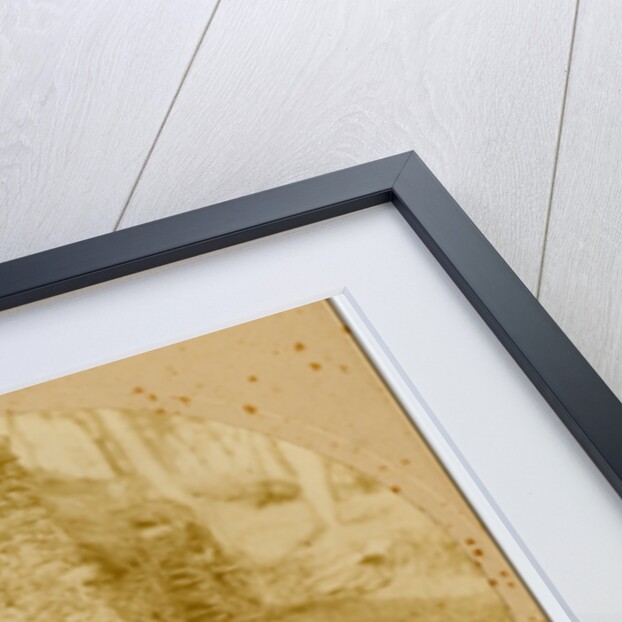 Mrs Morrison by George Bellett Cowen