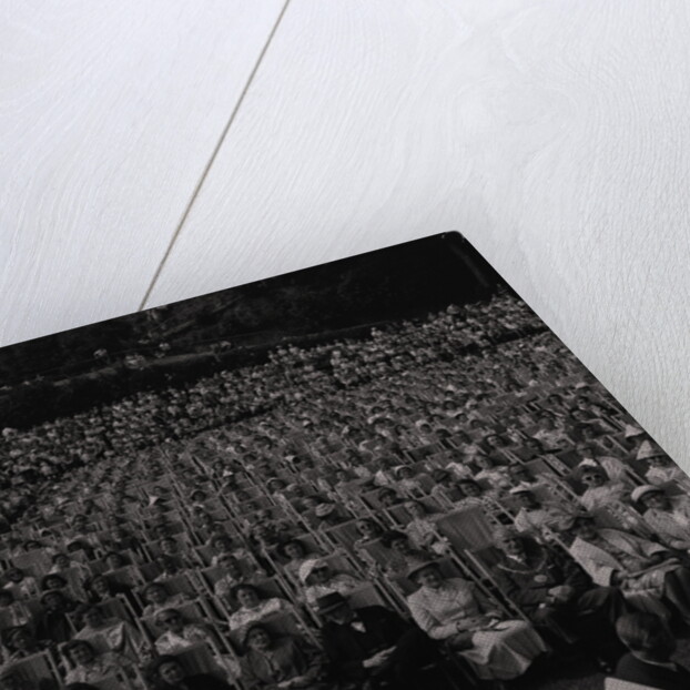 Palace Show Party by Manx Press Pictures