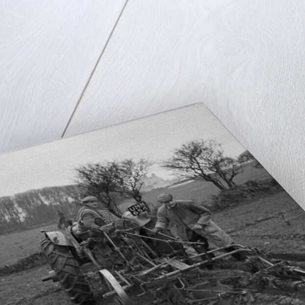 Arboury SYF (Young Farmers) Ploughing Match by Manx Press Pictures