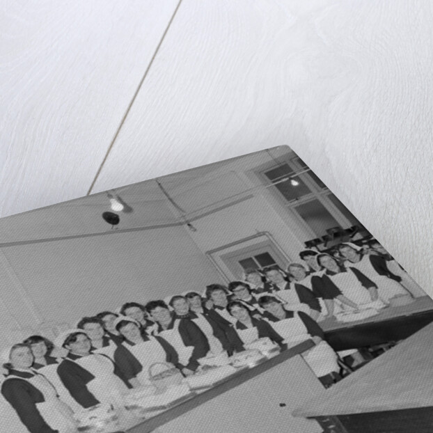 College of Domestic Science by Manx Press Pictures