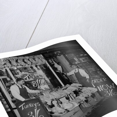 Curtis' Turkeys by Manx Press Pictures