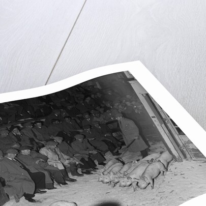 St John's Mart by Manx Press Pictures