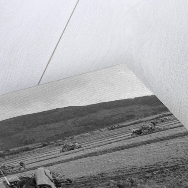 Marown ploughing match by Manx Press Pictures