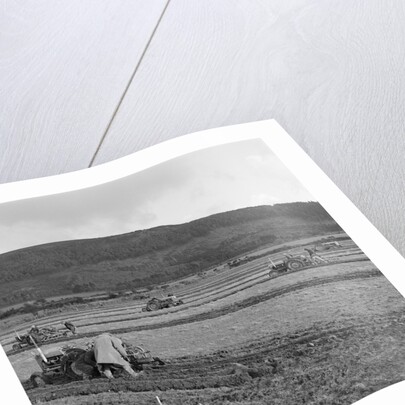 Marown ploughing match by Manx Press Pictures