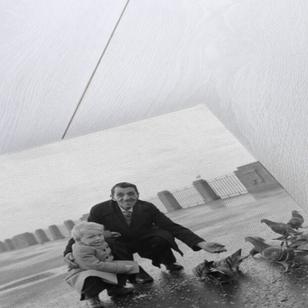 Feeding pigeons on Douglas Promenade by Manx Press Pictures