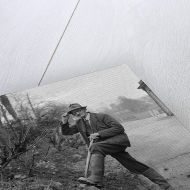 Head Gardener, Villa Marina, Douglas by Manx Press Pictures