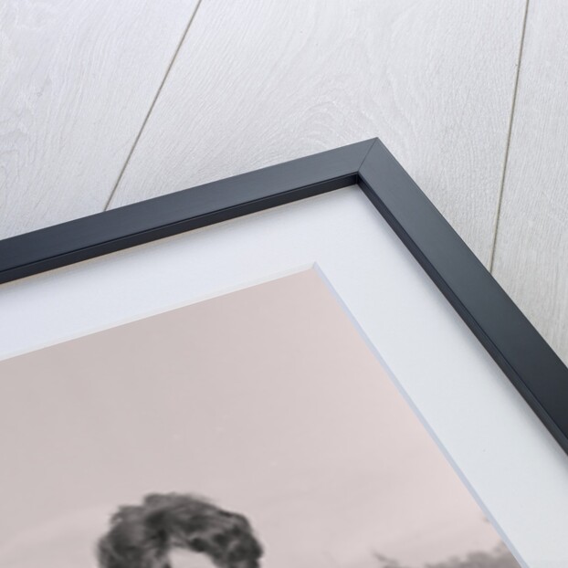 Miss Rugby League by Manx Press Pictures