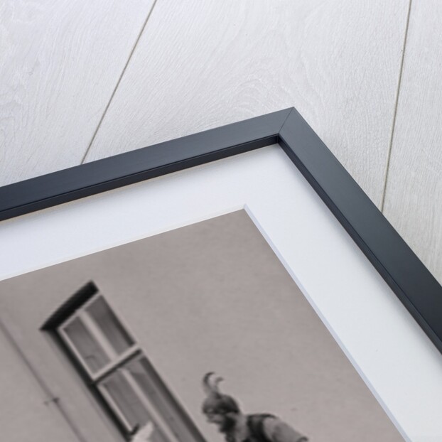 Lieutenant Governor Sir Ronald Herbert Garvey given a Viking helmet by Manx Press Pictures