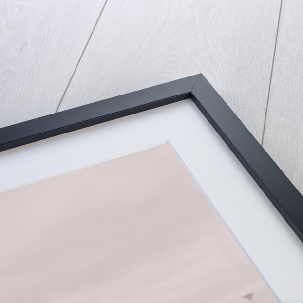 USA Band, Douglas Sea Terminal by Manx Press Pictures