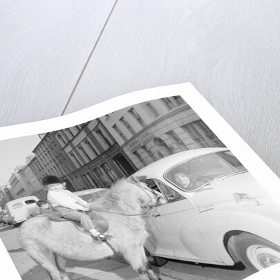 'Straight from the Horses Mouth', asdvertisement for Central Motors, Athol Street, Douglas by Manx Press Pictures