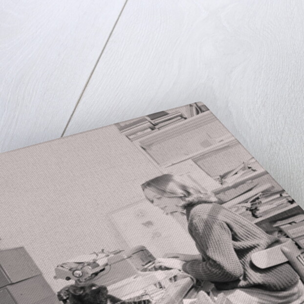 Manx cat goes away', Government Office by Manx Press Pictures