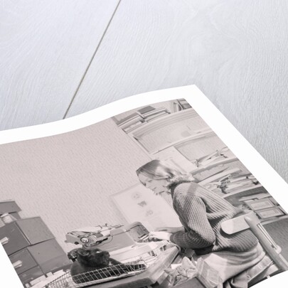 Manx cat goes away', Government Office by Manx Press Pictures