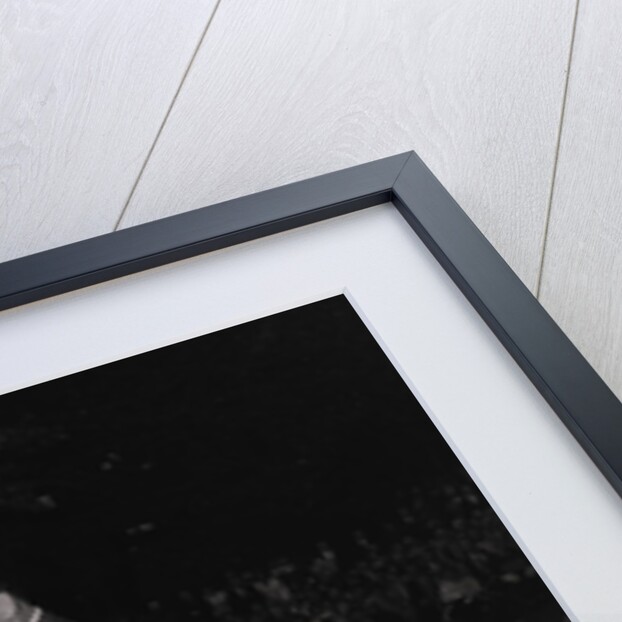 TT presentations, Villa Marina by Manx Press Pictures