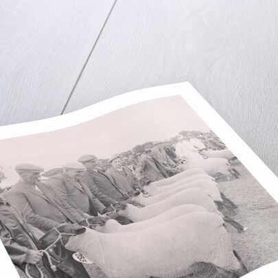 Southern Agricultural Show by Manx Press Pictures