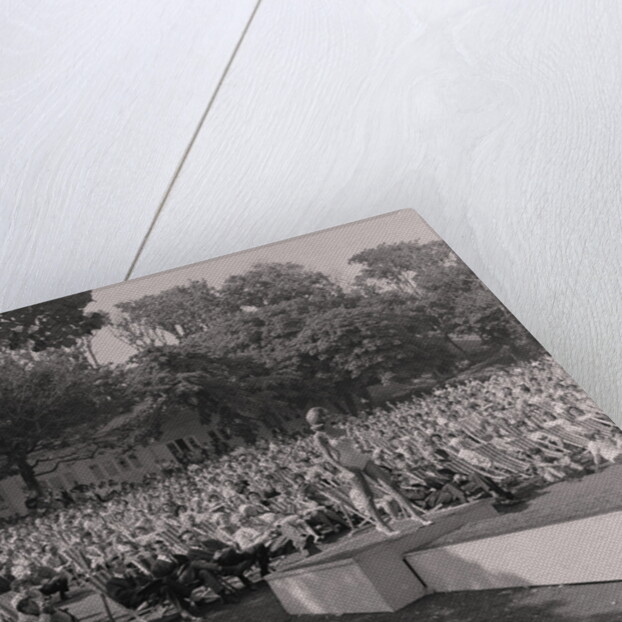 Miss Greeba by Manx Press Pictures