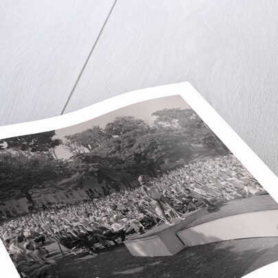 Miss Greeba by Manx Press Pictures