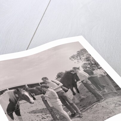 Old Horses Open Day by Manx Press Pictures