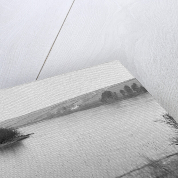 Frozen landscape, Isle of Man by Manx Press Pictures