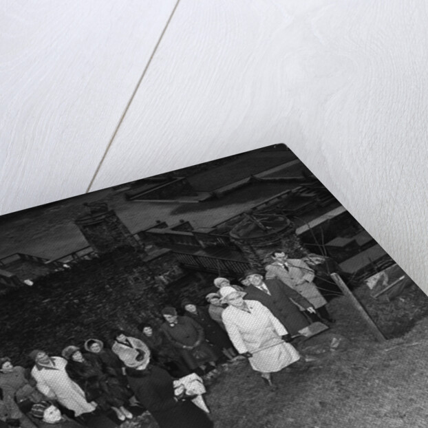 Women's Institute tree planting, Laxey by Manx Press Pictures