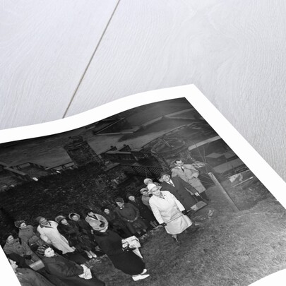 Women's Institute tree planting, Laxey by Manx Press Pictures