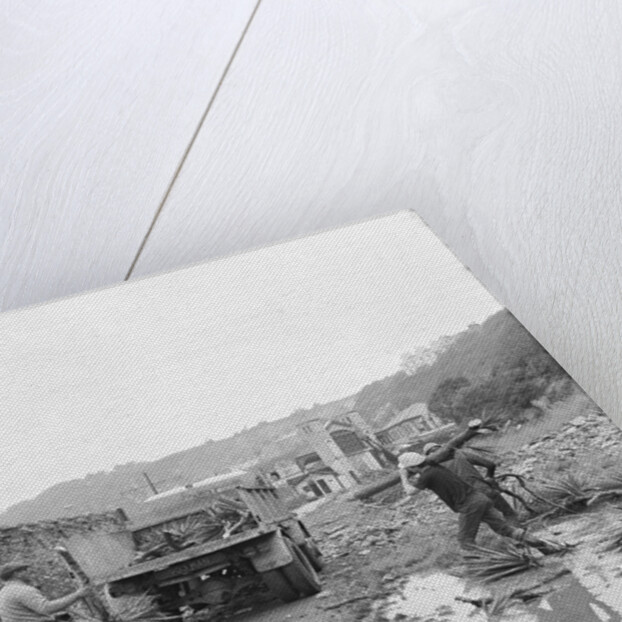 'Tidying Up' Derby Castle, Douglas by Manx Press Pictures