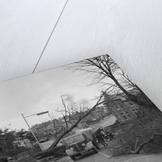 Tree down in storm, Bray Hill, Douglas by Manx Press Pictures