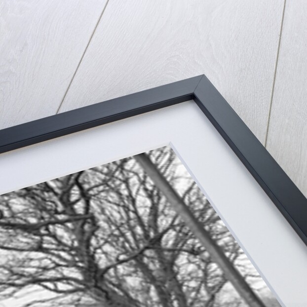 Port Erin Gas Works 'before clean-up' by Manx Press Pictures