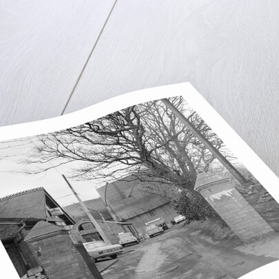 Port Erin Gas Works 'before clean-up' by Manx Press Pictures