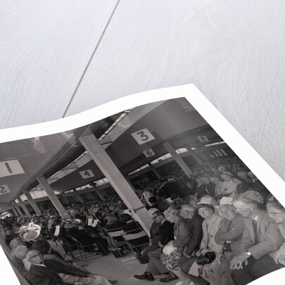 Douglas Band, Sea Terminal by Manx Press Pictures
