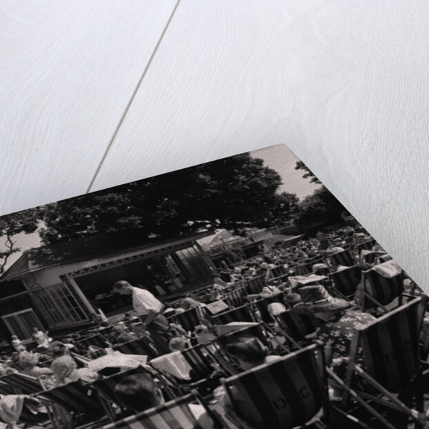 Villa Marina Gardens by Manx Press Pictures