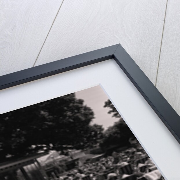 Villa Marina Gardens by Manx Press Pictures