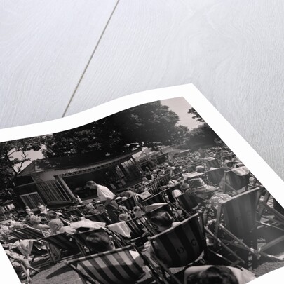 Villa Marina Gardens by Manx Press Pictures
