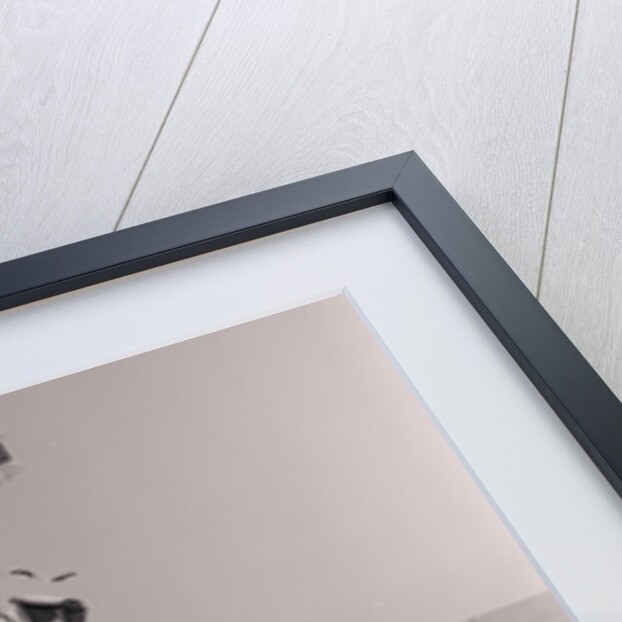 Lifeboat Day by Manx Press Pictures