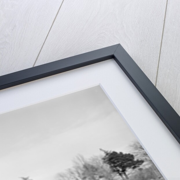 Rugby Sevens, Isle of Man by Manx Press Pictures