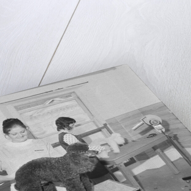 Blacks pet parlour by Manx Press Pictures