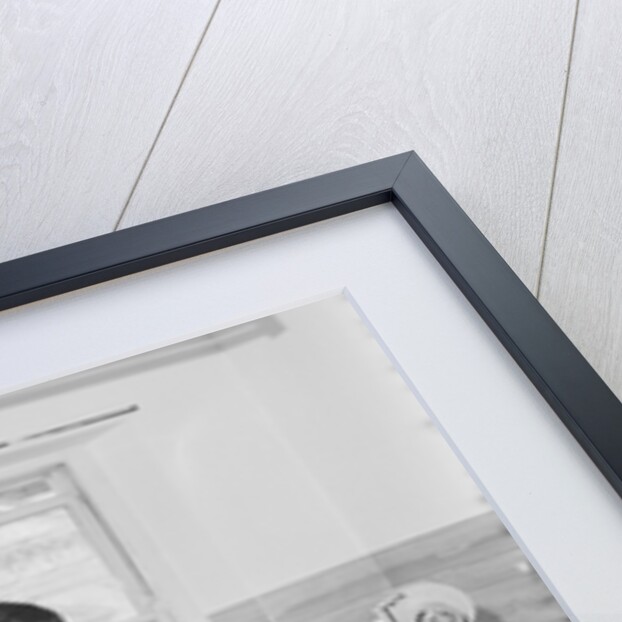 Blacks pet parlour by Manx Press Pictures