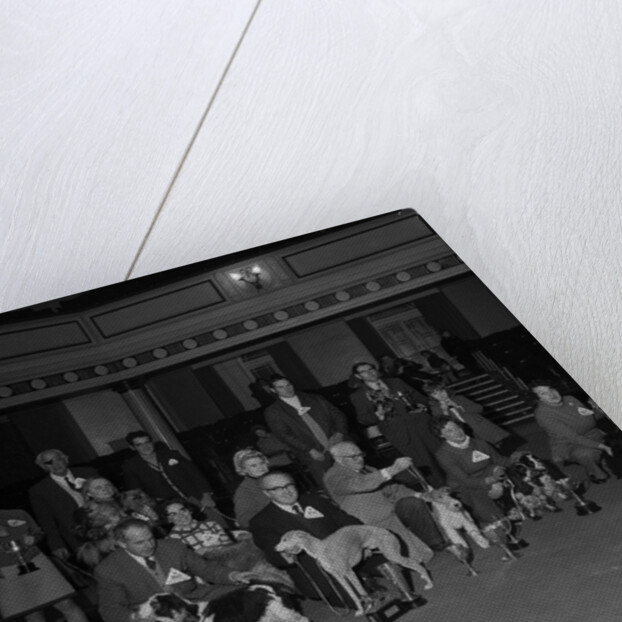 Dog Show, Villa Marina, Douglas by Manx Press Pictures