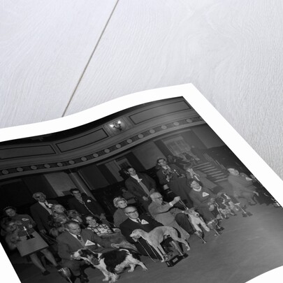 Dog Show, Villa Marina, Douglas by Manx Press Pictures