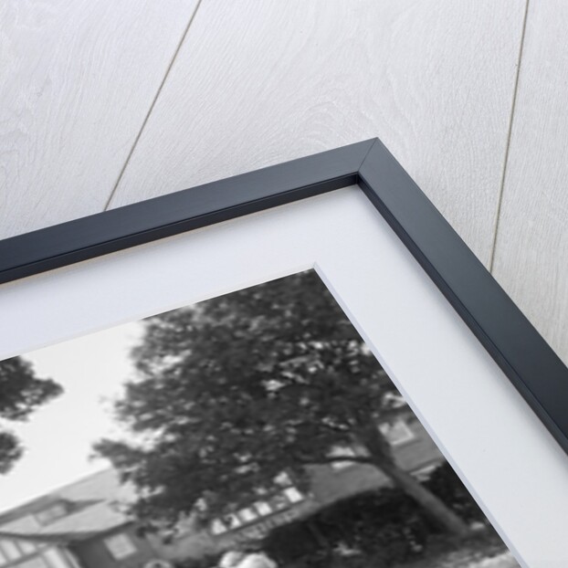 Douglas High School garden nursery by Manx Press Pictures