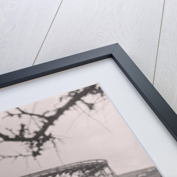 Rolo Coaster', rollercoaster, Onchan Head by Manx Press Pictures