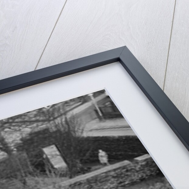 Tree planting, Manx Museum, Douglas by Manx Press Pictures