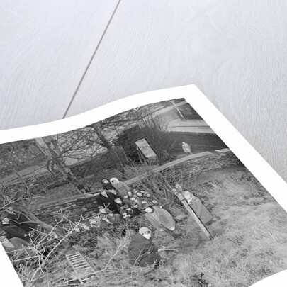 Tree planting, Manx Museum, Douglas by Manx Press Pictures