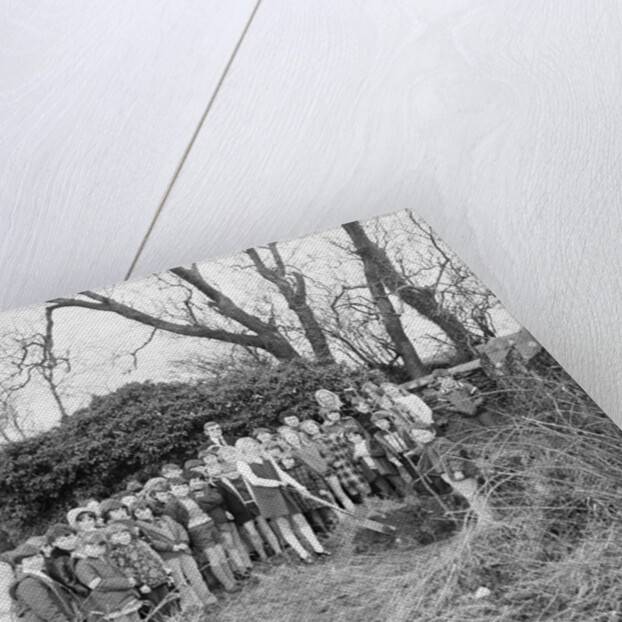 Kewaigue tree planting by Manx Press Pictures