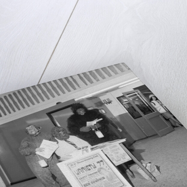 'Monkeys at Shoprite' by Manx Press Pictures