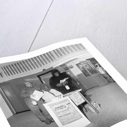 'Monkeys at Shoprite' by Manx Press Pictures