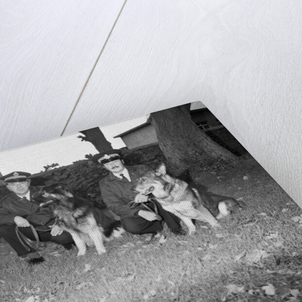 Police dogs at Peel by Manx Press Pictures