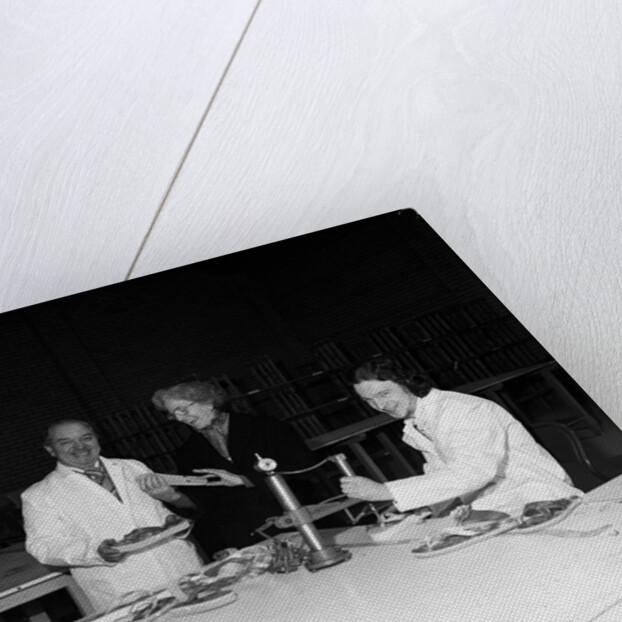 Flip-Flop Factory, Hills Meadow, Isle of Man by Manx Press Pictures